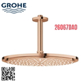 Bát Sen Tắm Gắn Trần Đức Grohe 26067DA0
