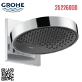 Bát Sen Tắm Gắn Tường Đức Grohe 25226000