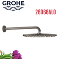 Bát Sen gắn tường Đức Grohe 26066AL0