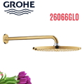Bát Sen gắn tường Đức Grohe 26066GL0