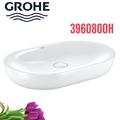 Chậu rửa lavabo Grohe 3960800H dương bàn