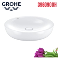 Chậu rửa lavabo Grohe 3960900H dương bàn